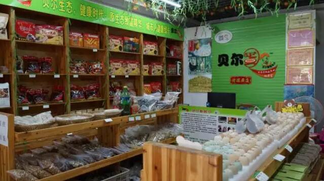 “互联网+”鸡蛋 以卵击石还真行！